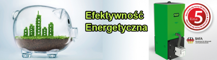 Wnioskowanie - Efektywność Energetyczna 